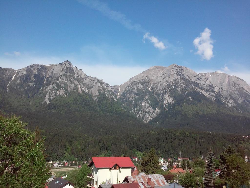 Pensiunea Edy Buşteni Exterior foto