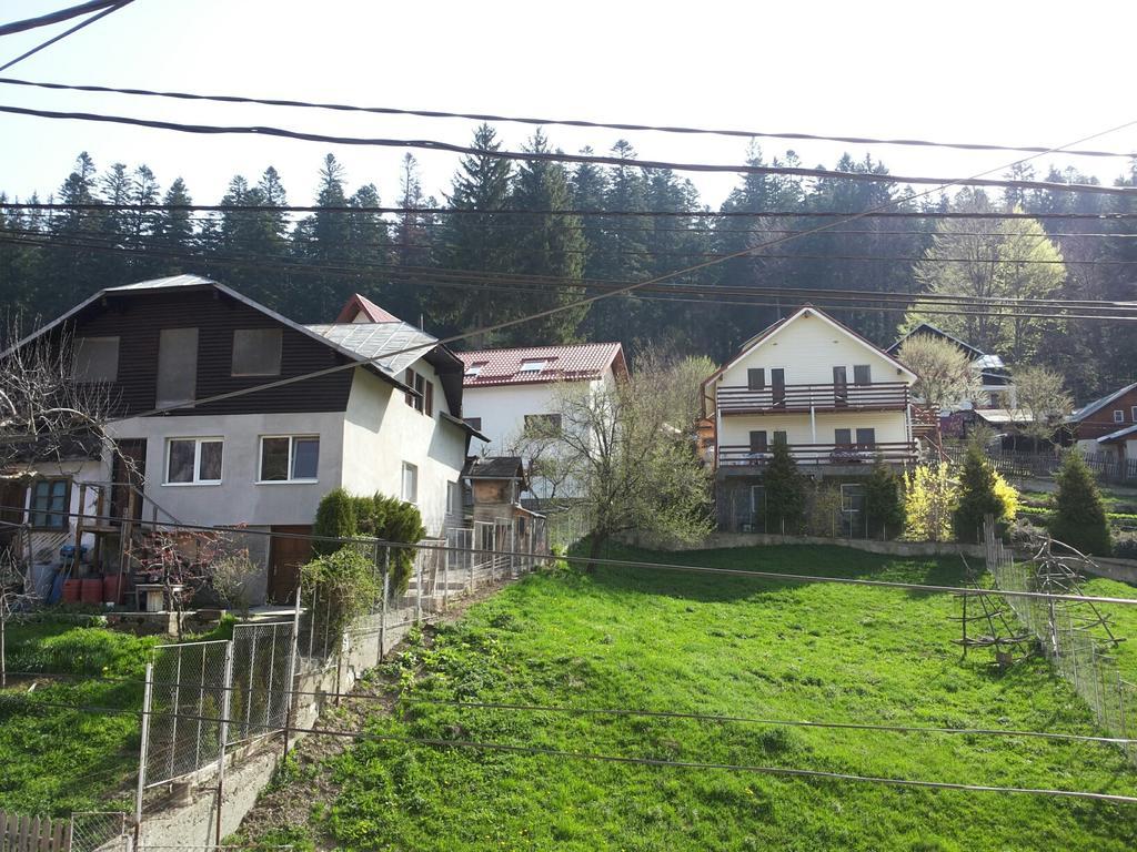 Pensiunea Edy Buşteni Exterior foto